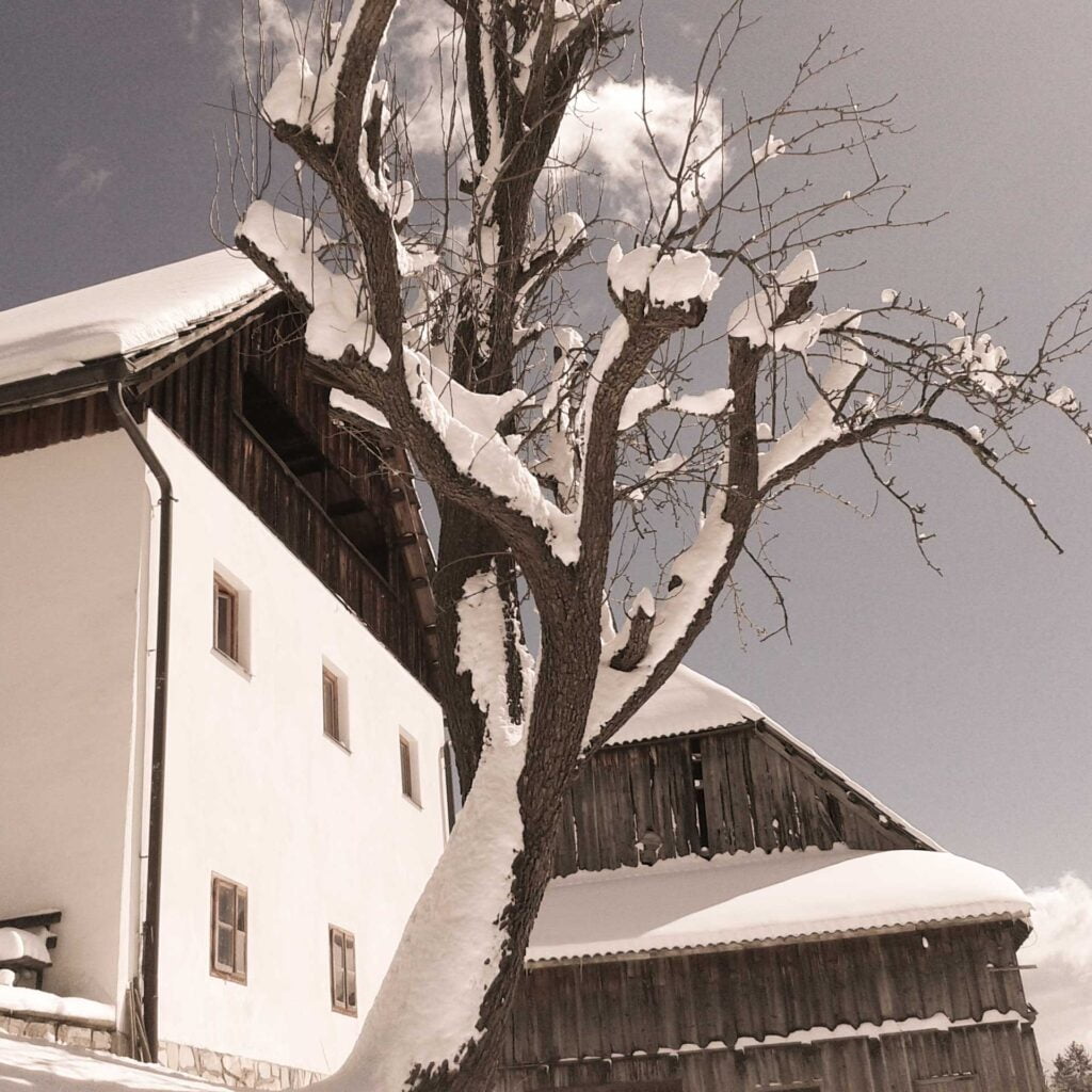 Altes Bauernhaus, erstmals 1532 urkundlich erwähnt.