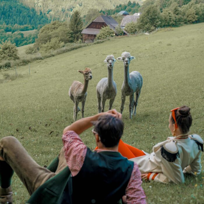 Auf Entdeckungsreise mit Lichtenegger, Knödel & Co